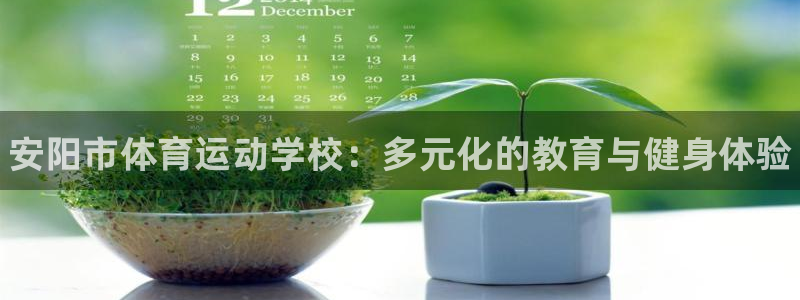 海南yy易游官网下载发展怎么样:安阳市体育运动学校:多元化的