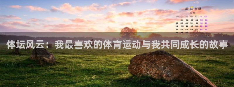 yy易游官网下载招商电话是多少:体坛风云:我最喜欢的体育运动