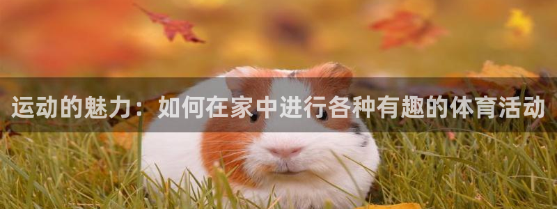 yy易游官网下载联系电话:运动的魅力:如何在家中进行各种有趣