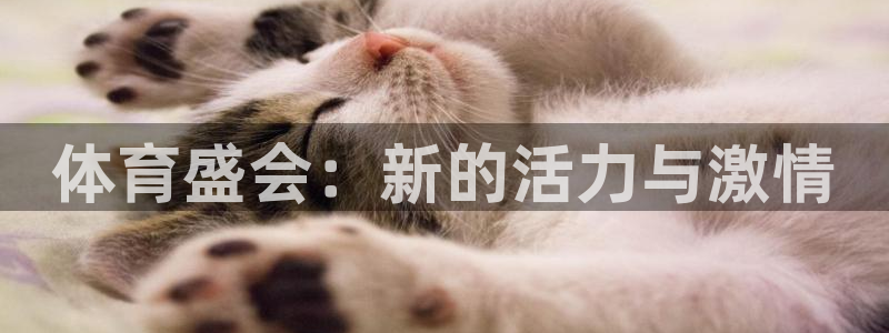 yy易游官网下载平台注册流程图:体育盛会:新的活力与激情